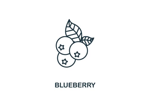 Blueberry Icon from Fruits Collection: A Versatile Design Asset for Modern Creatives